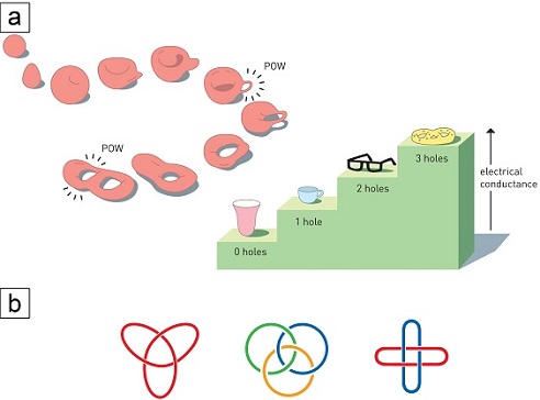 Nobel Prizes in topology