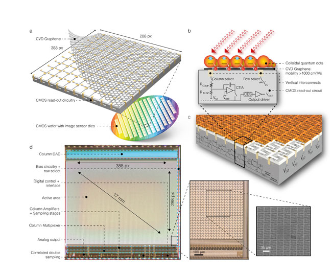 qd-graphene