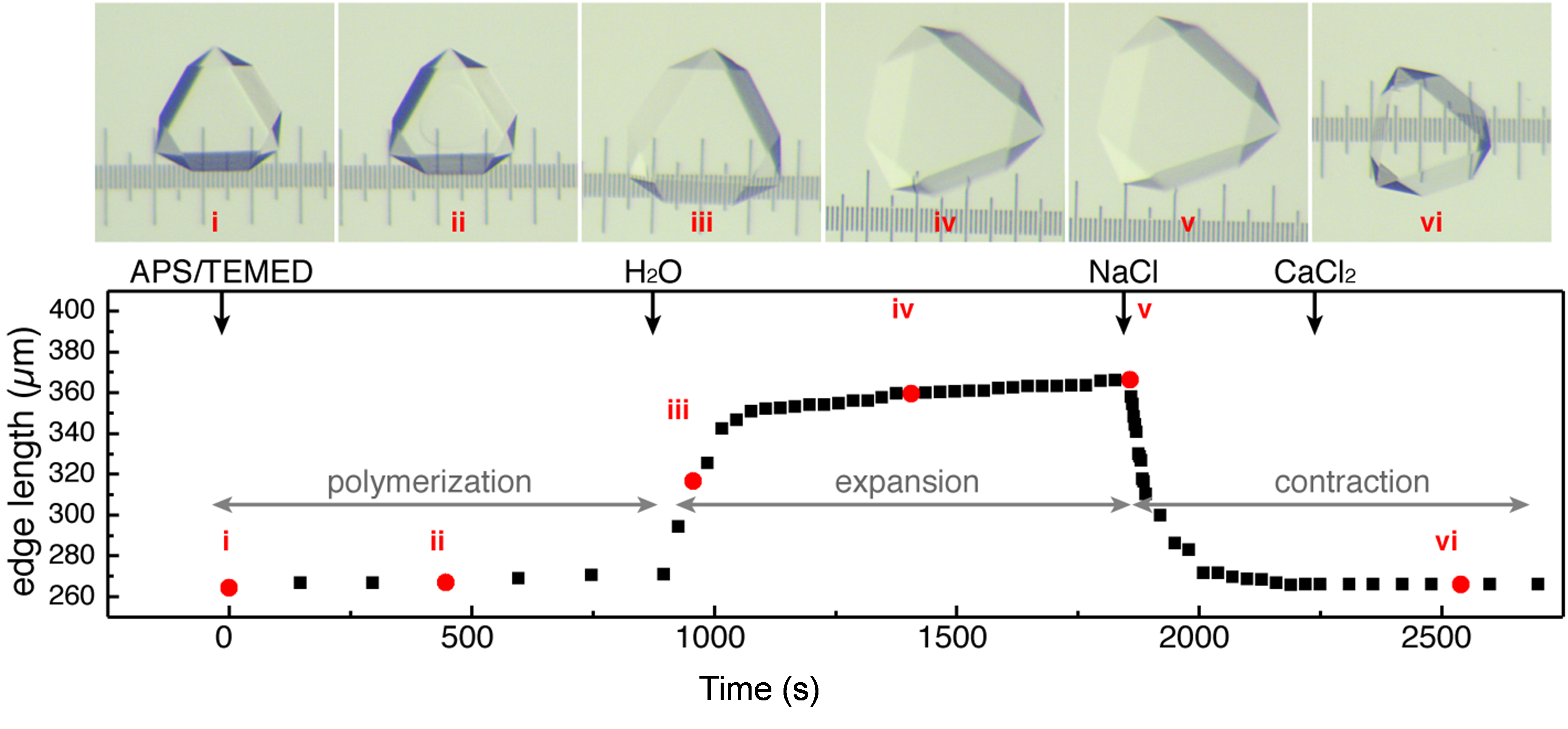 self-healing macromolecular crystals