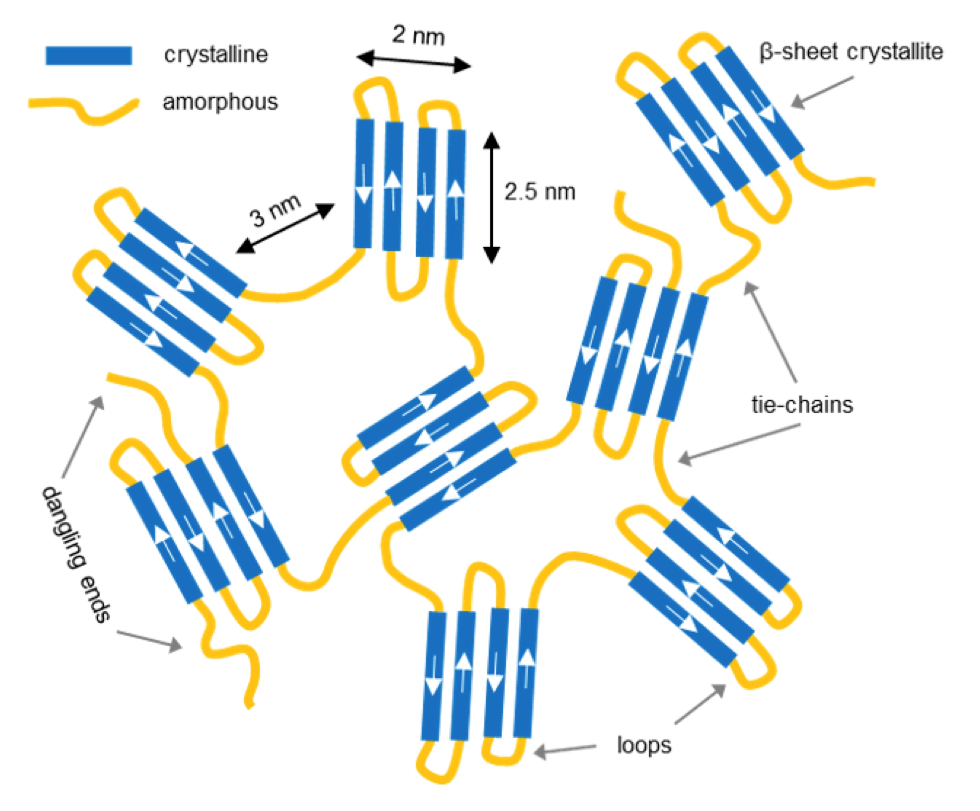 biopolymers