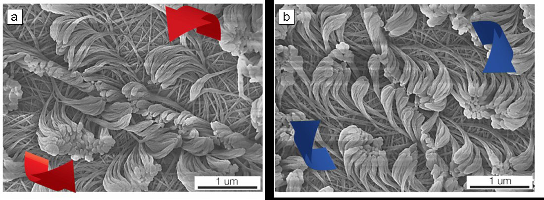 polymer-nanofibers