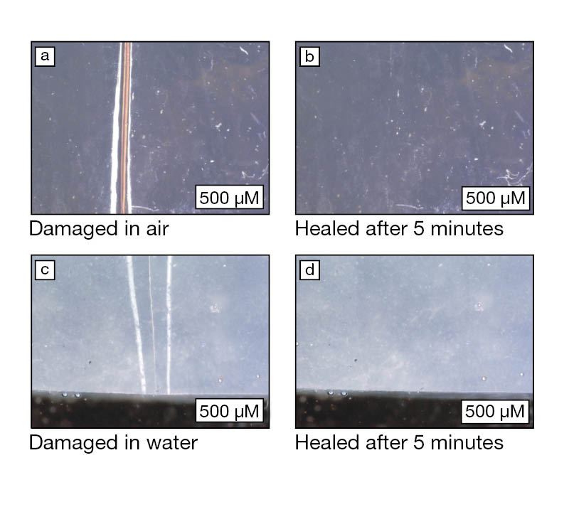 self-healing copolymers