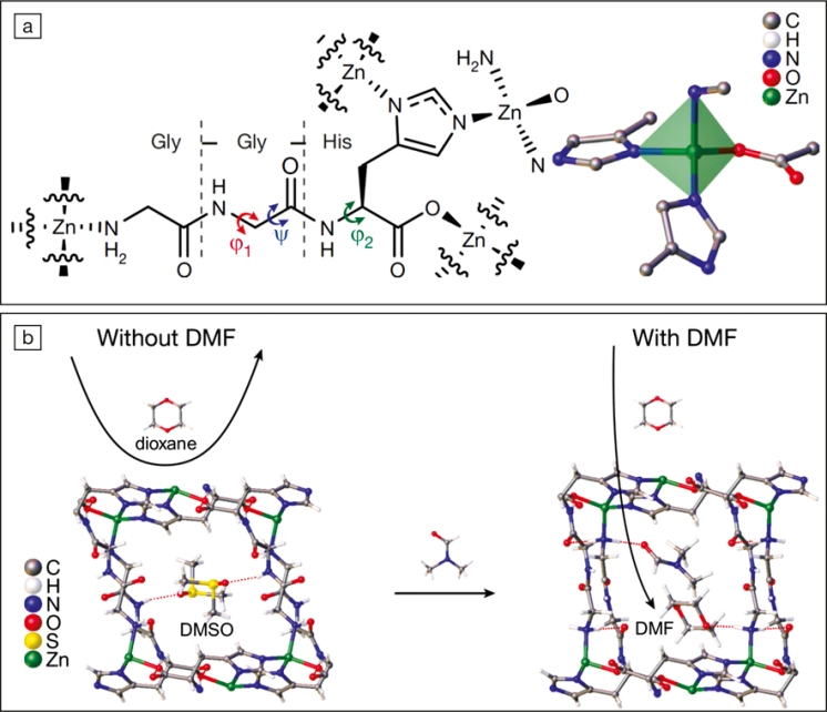 peptide linkers MoFs