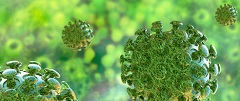 Free access to coronavirus research