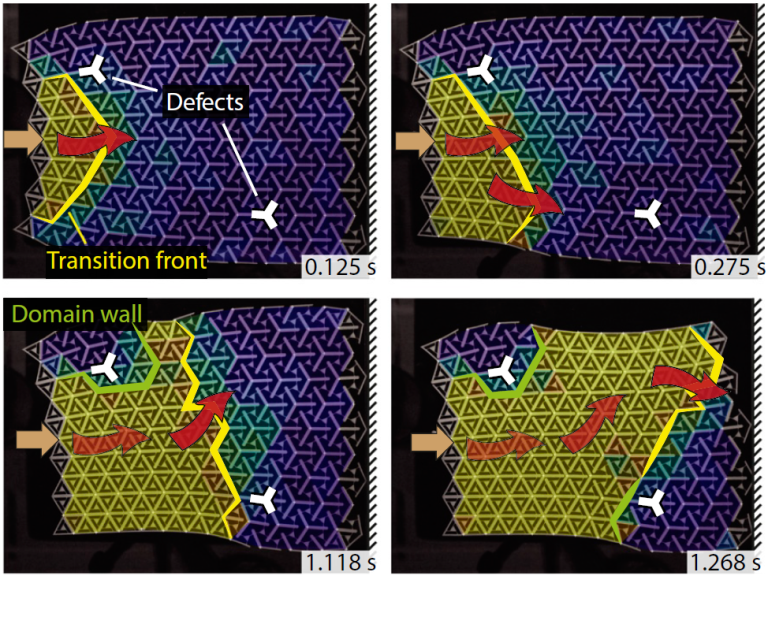 2D auxetics phase transition