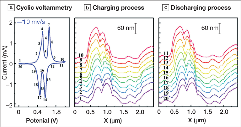 high-speed AFM