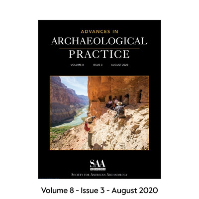 The Volume 8 - Issue 3 - August 2020 cover of AAP