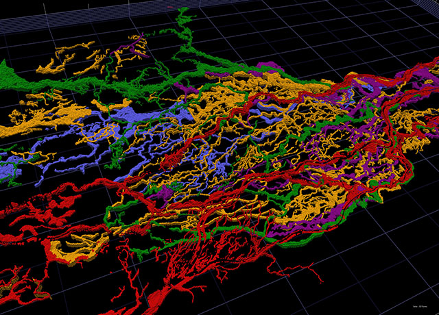 Fluvial sedimentary record of the Rhine/Meuse system