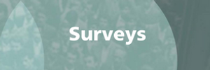 Surveys