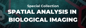 Spatial Analysis in Biological Imaging