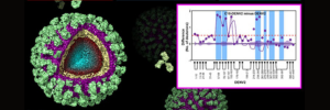 Perspectives in Integrated Biophysics