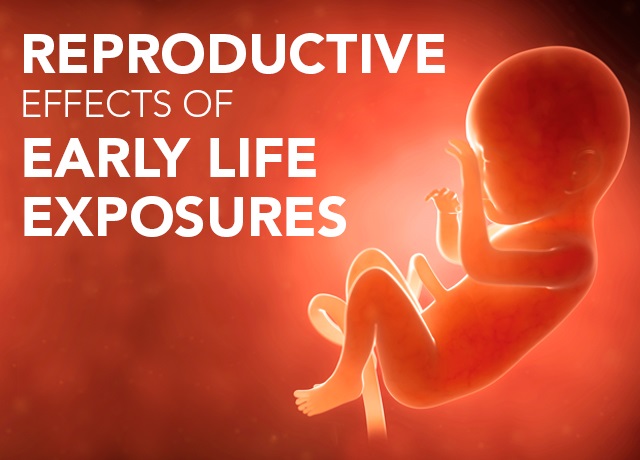 Reproductive Effects of Early Life Exposures collection