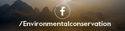 Social button Core FB