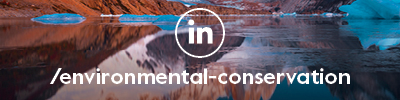 LinkedIn Core Button New
