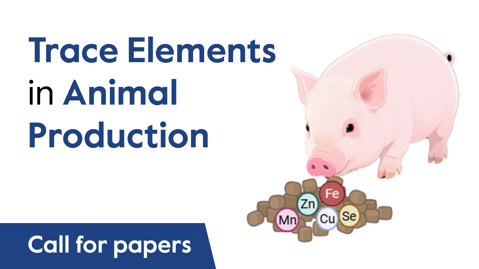 Trace Ele CFP Small Banner 2025