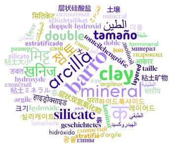 International Clay Conference 2025