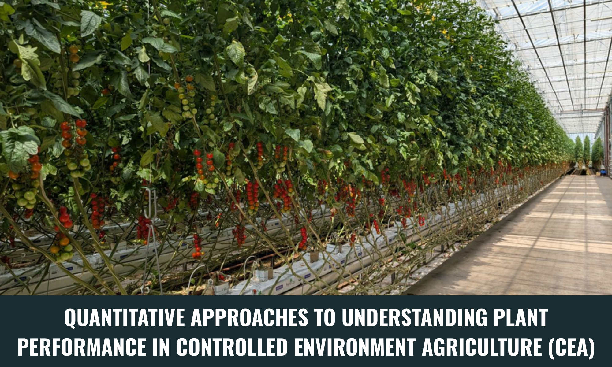 CFP Controlled Environment Agriculture (CEA)