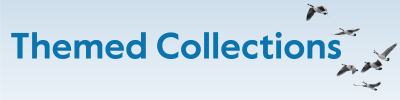 Themed Collections Banner 2025