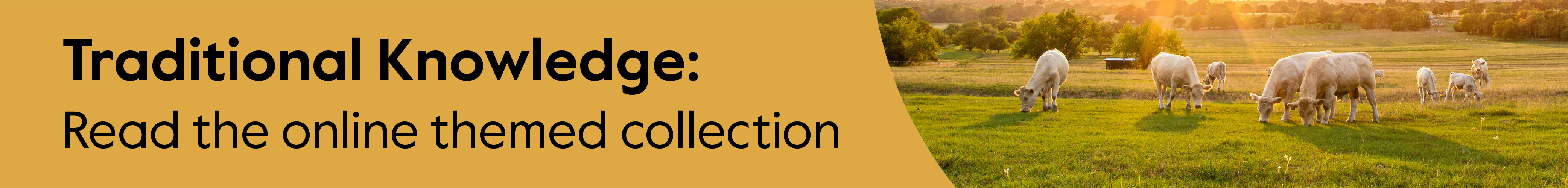 Traditional Knowledge RAF Banner