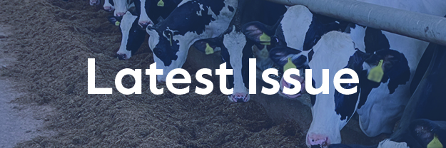 Latest Issue homepage DAR