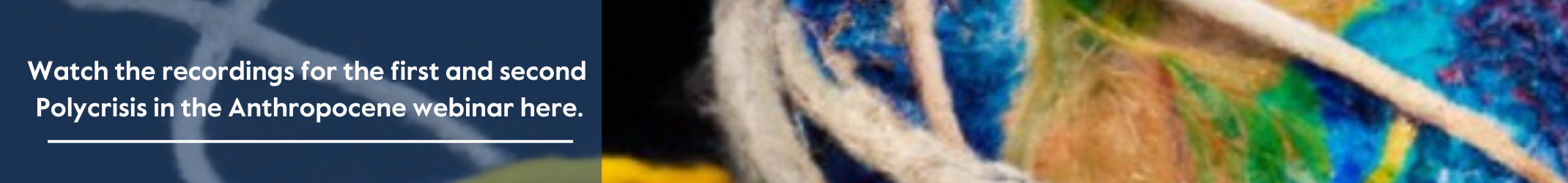 Polycrisis webinar banner