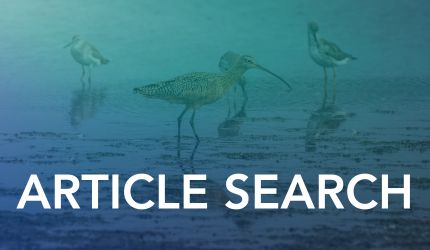 Article Search