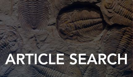 EXT Article Search