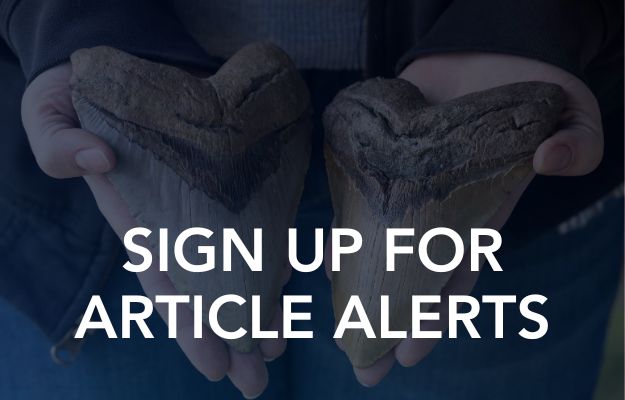 Sign up for Article Alerts