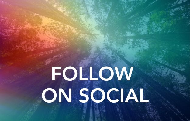 Follow Prisms on Social