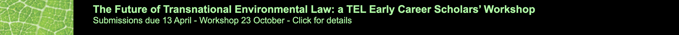 Call for Papers 2026 Early Career Scholars Workshop