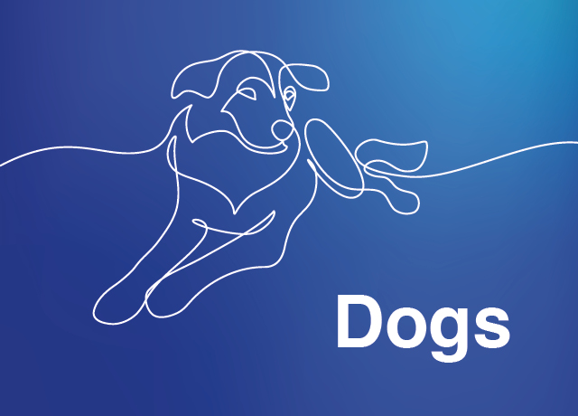 Dogs