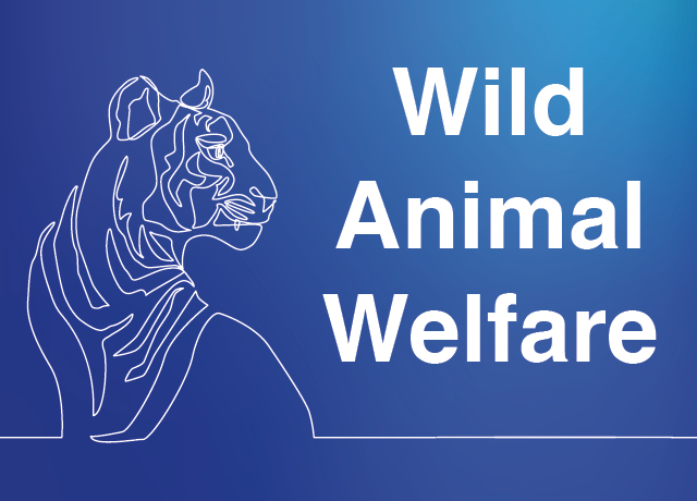 Wild Animal Welfare