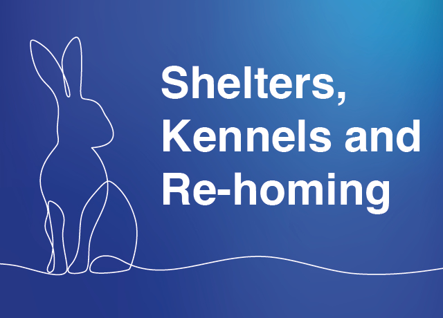 Shelters, Kennels and Re-homing
