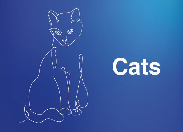 Cats