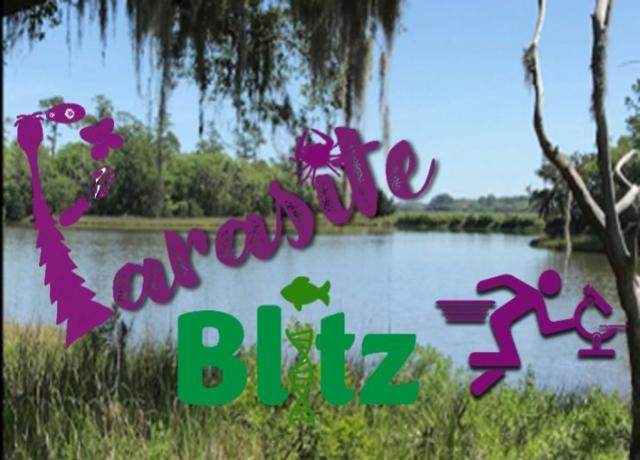 Parasite BioBlitz