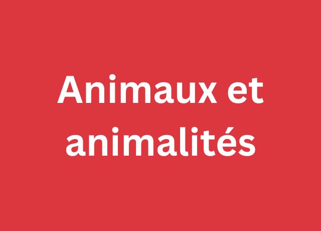 Animaux et animalités